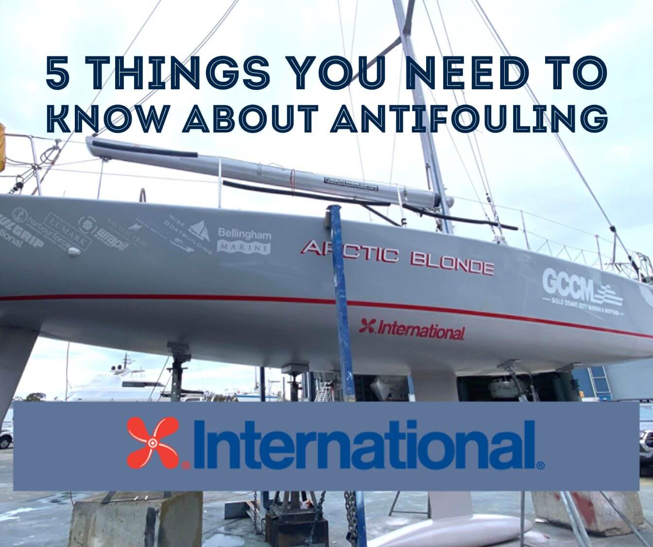 5 things you need to know about Antifouling